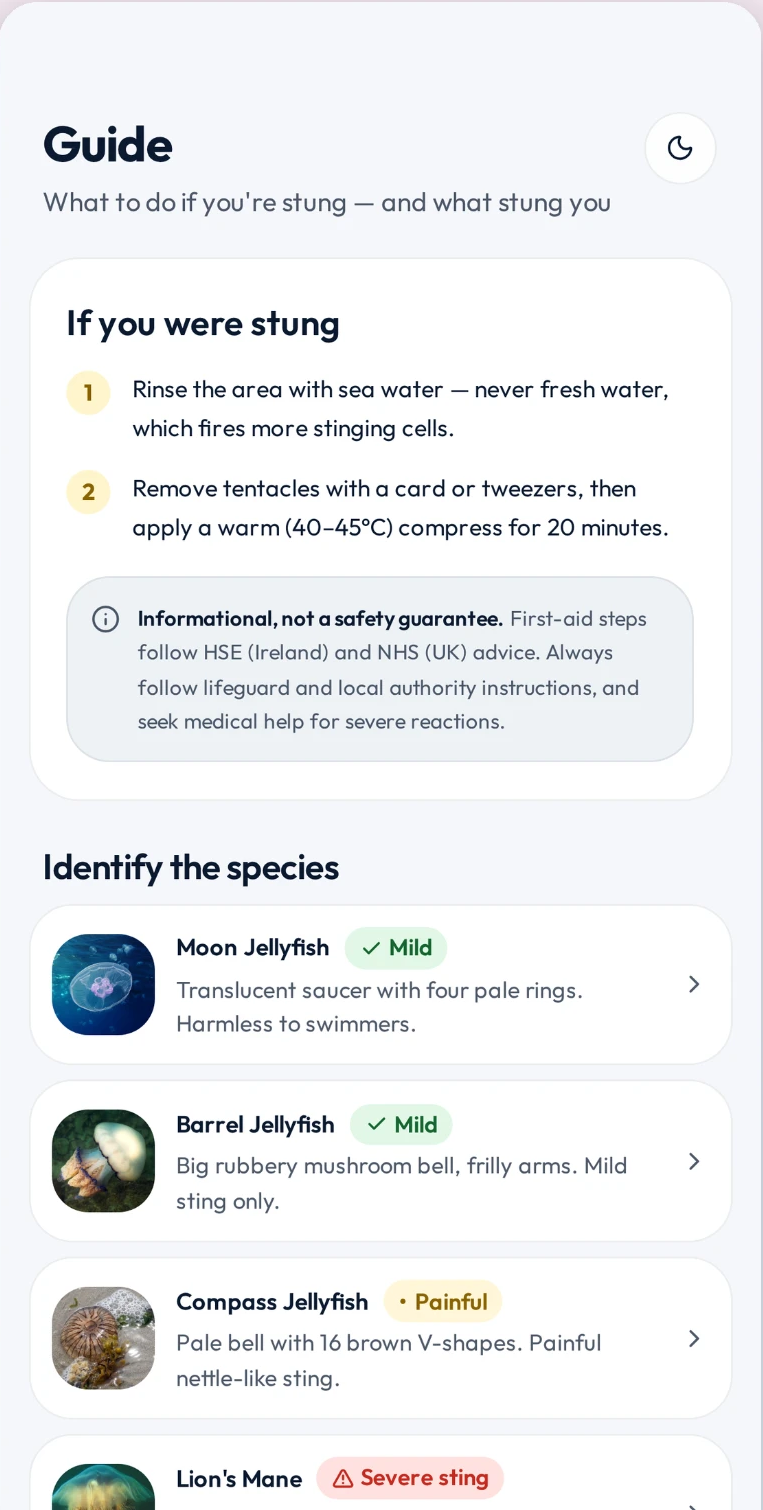 Jelly Map guide with sting first aid and jellyfish species